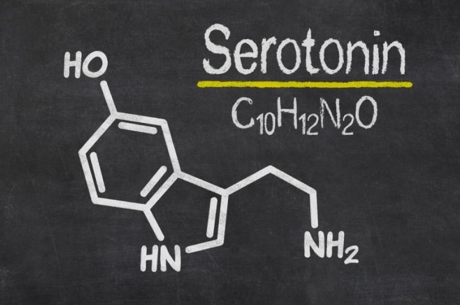 Serotonin Hormonu Nedir? - Ne Demek?