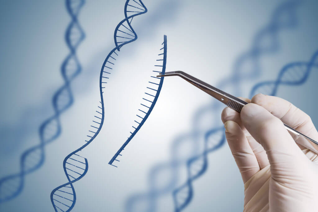 Genetik Mühendisliği Nedir, Hangi Alanlarda Çalışır?